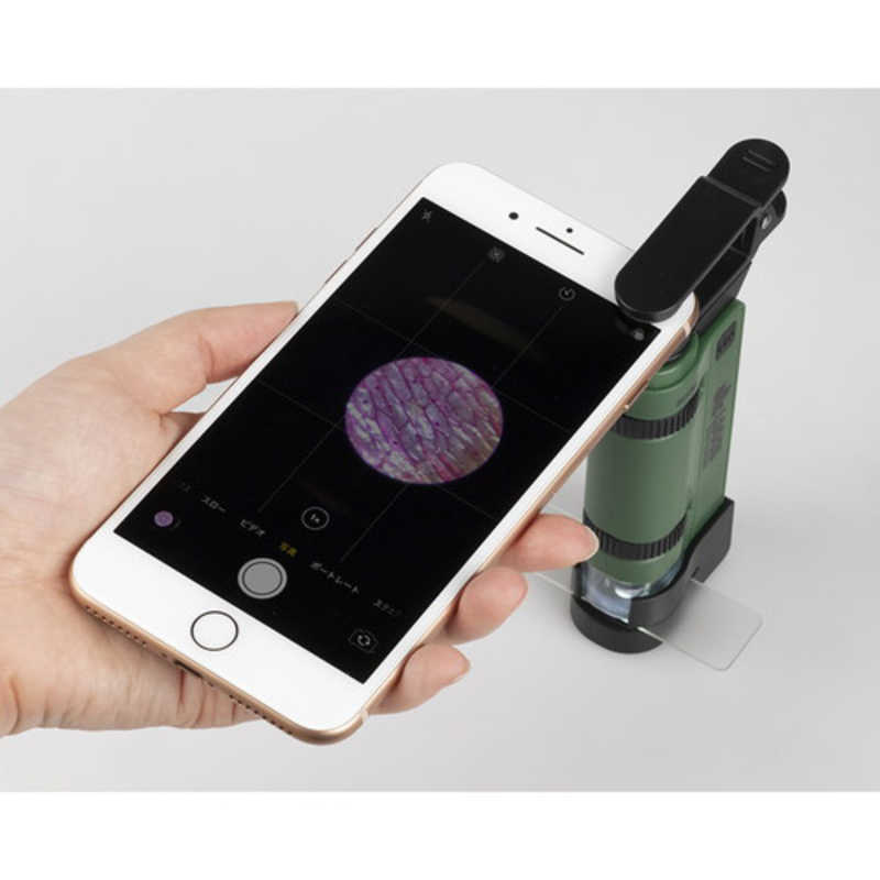 ケンコー ケンコー ロゴス ハンディ顕微鏡 スマホアダプター付き LK-ST240 LK-ST240
