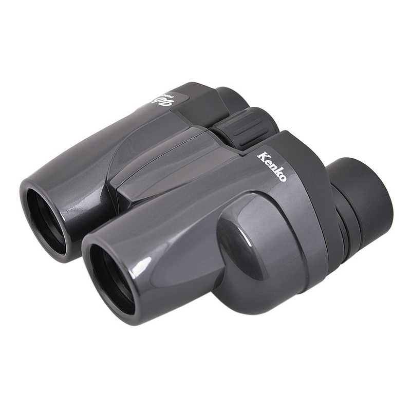 ケンコー ケンコー 双眼鏡 ｢ウルトラビューM 8X25FMC LTD｣ [8倍] BK UVML825BK UVML825BK