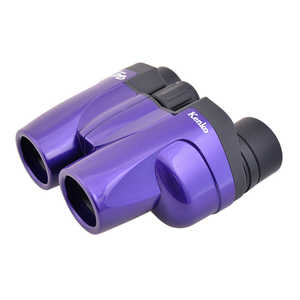 󥳡 ڥȥåȡд ֥ȥӥ塼M 10X25FMC LTD [10] PR UVML1025PR