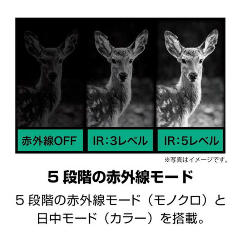 ケンコー ケンコー Kenko IRナイトレコーダー KCNS04 KCNS04