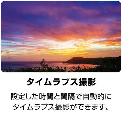 ケンコー Kenko デジタルカメラ （限定モデル・液晶保護フィルム