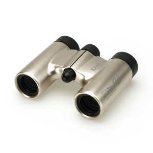 ケンコー 双眼鏡 ウルトラビューH 10×21DH FMC [ 10倍 / 径21mm ] ゴールド UVH10X21DHLTD