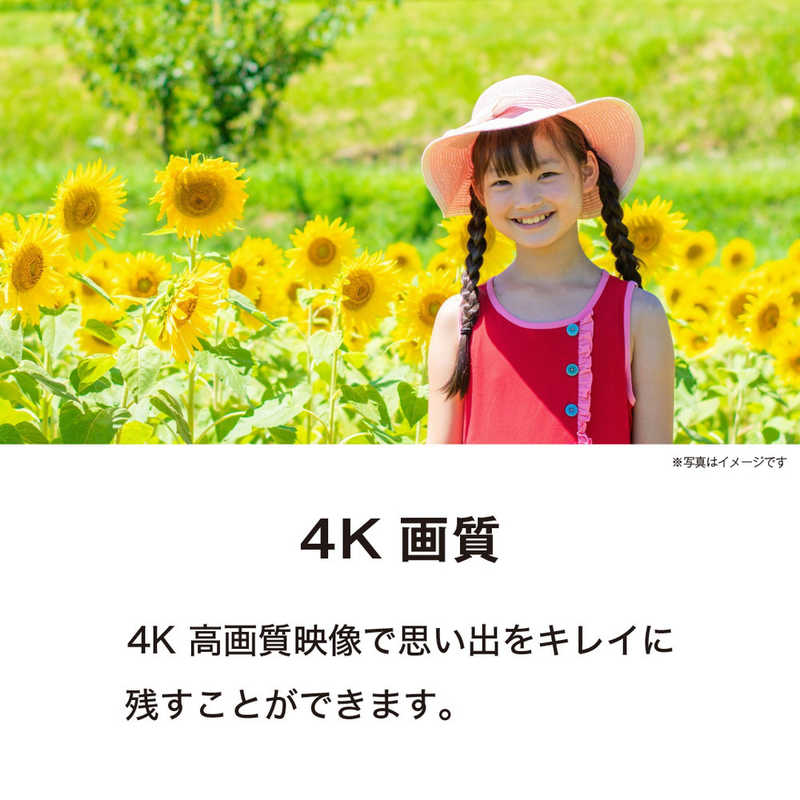 ケンコー ケンコー Kenko デジタルビデオカメラ (限定モデル・液晶保護フィルム付き) ［4K対応］ KC-Z4K10 LTD KC-Z4K10 LTD