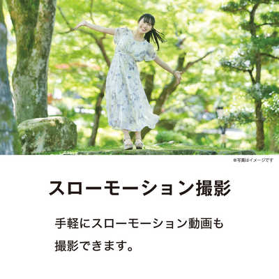 ケンコー Kenko デジタルビデオカメラ (限定モデル・液晶保護