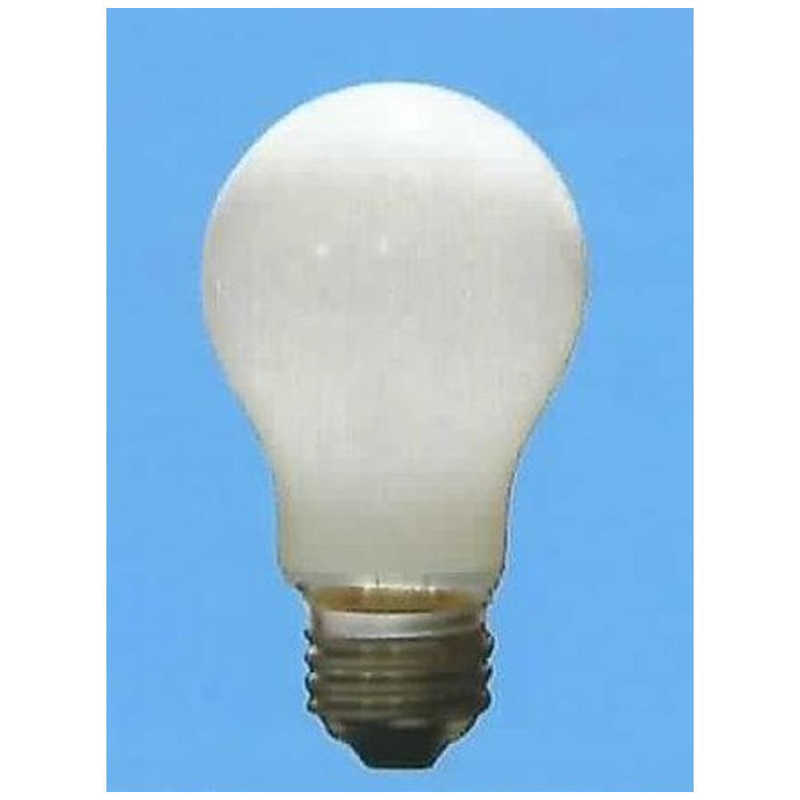 旭光電機工業 旭光電機工業 長寿命白熱電球(100W形･2個入･口金E26) LW100V95W-60LL2P ホワイト LW100V95W-60LL2P ホワイト