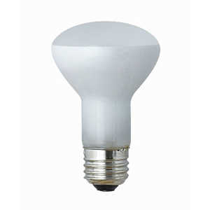 東京メタル レフランプ形 白熱電球 RF110V36W-TM 東京メタル レフランプ形 白熱電球 RF110V36W-TM