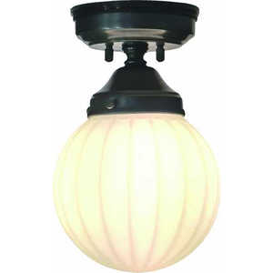 SUNYOU V[Ov O 1p (dʔi) mE17 /dCHKvn FC-WO998A311