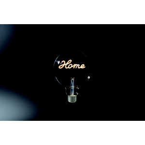 東京メタル インテリアLED電球 HOME E26 LDG4HOME-TM 東京メタル インテリアLED電球 HOME E26 LDG4HOME-TM