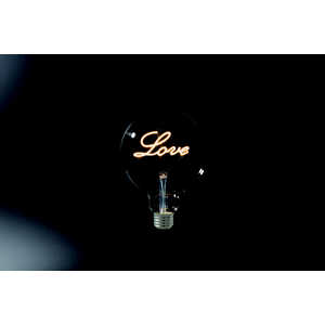 東京メタル インテリアLED電球 LOVE E26 LDG4LOVE-TM 東京メタル インテリアLED電球 LOVE E26 LDG4LOVE-TM