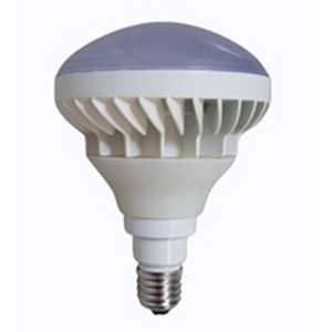 岩崎電気 LED屋外用レフランプ形電球 200W相当 電球色 口金：E26 ［E26 /ビームランプ形 /200W相当 /電球色 /1個］ LDR18L200-TM