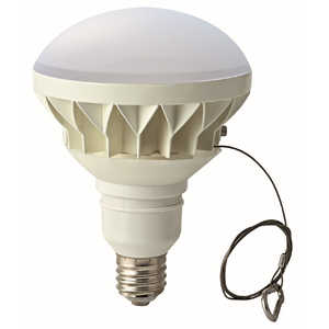 ����᥿�� �����300W���� ������LED���� ��E39 / �ӡ�����׷� / ���� / 1�ġ� LDR30NE39-TM