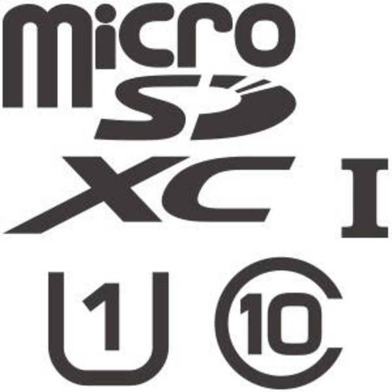 HORI HORI microSDHCカード for Nintendo Switch (128GB) NSW-075 NSW-075