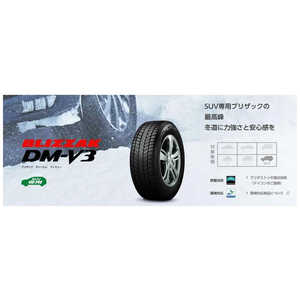 �u���a�X�g�� �^�C�� �V�i 15431623 BLIZZAK DMV3 175/80R15 90Q TL D0 1�{ �i���͂��̂݁j PXR01623