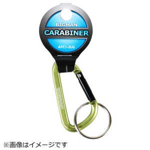 ビッグマン #059512 CARABINER AFC1-5LG グリーン AFC15LG ビッグマン #059512 CARABINER AFC1-5LG グリーン AFC15LG