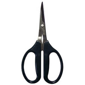 nT~ NtgnT~ 160mm #893