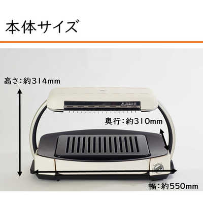 楽天市場】アラジン グラファイトグリラー AEG-G13A 送料無料