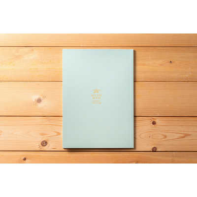 アラジン グラファイトオーブンレンジ 22L グリーン AEM-G14AG