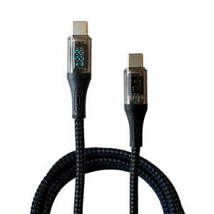 FXLION 120W܂ł̋}[dɑΉUSB-CP[uuPD100Cv FXEPD100C
