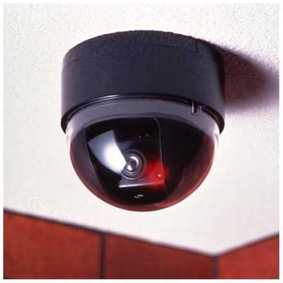 旭電機化成 ドーム型ダミーカメラ ADC-204 の通販 - カテゴリ：防犯