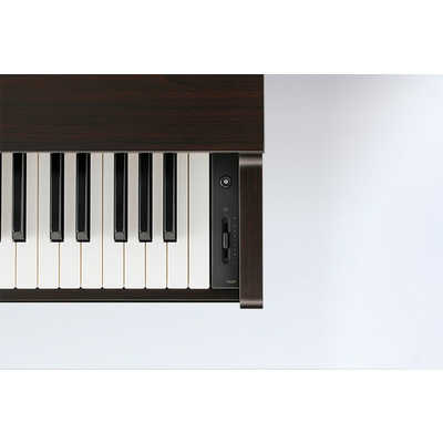 KAWAI 電子ピアノ CN29 88鍵 ローズウッド 河合楽器 KAWAI 電子ピアノ プレミアムローズウッド調仕上げ [88
