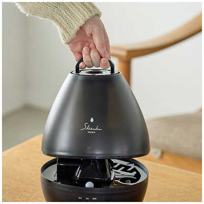 アピックス 加湿器 スチーム式 木造2～4畳 鉄筋4～6畳 BK ASZ-240 の