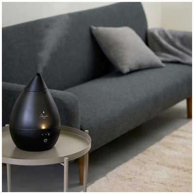 アピックス 加湿器 スチーム式 木造2～4畳 鉄筋4～6畳 BK ASZ-240 の