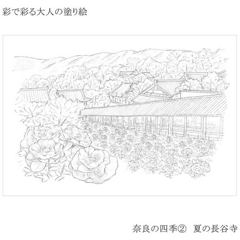あかしや あかしや 彩で彩る大人の塗り絵奈良の四季4枚セット AO50NB AO50NB