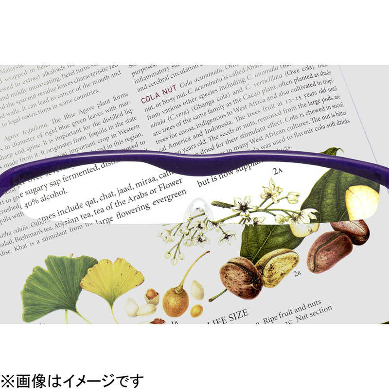Hazuki Company Hazuki Company Hazuki ハズキルーペ クール(紫)クリアレンズ 1.32倍 クｰル132ムラサキクリア クｰル132ムラサキクリア