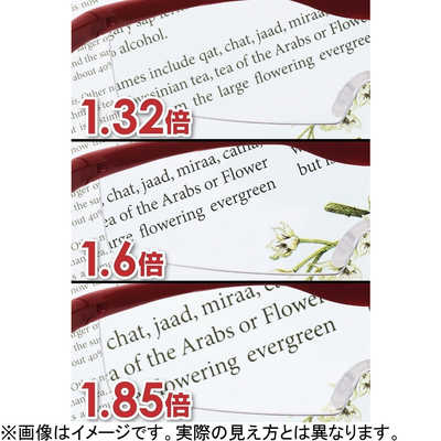 Hazuki Company Hazuki ハズキルーペ コンパクト(ルビー)カラーレンズ