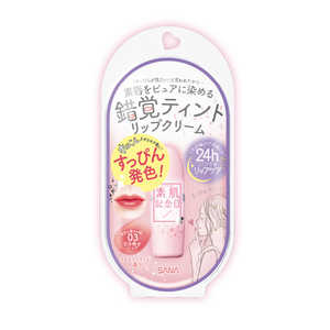 常盤薬品 サナ 素肌記念日 フェイクヌードリップ 02(惑わせコーラル) 常盤薬品 サナ 素肌記念日 フェイクヌードリップ 02(惑わせコーラル)