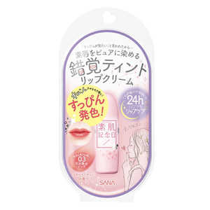 常盤薬品 サナ 素肌記念日 フェイクヌードリップ 03 常盤薬品 サナ 素肌記念日 フェイクヌードリップ 03