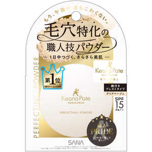 常盤薬品 サナ 毛穴パテ職人 パーフェクティングパウダー KパテPパウダー