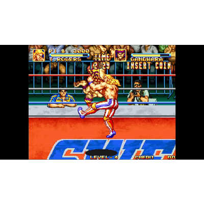 SNK Switchゲームソフト アケアカNEOGEO セレクション Vol.3 HAC-P