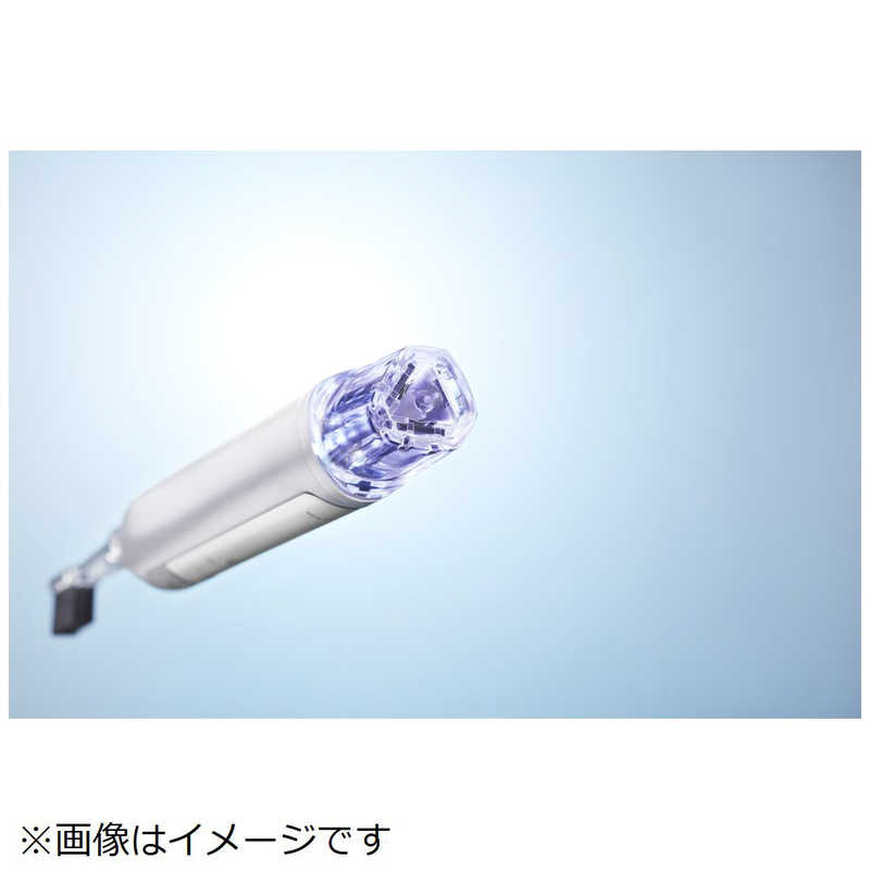 シケン シケン 電動歯ブラシ ソラデーリズム2 AE22C AE22C
