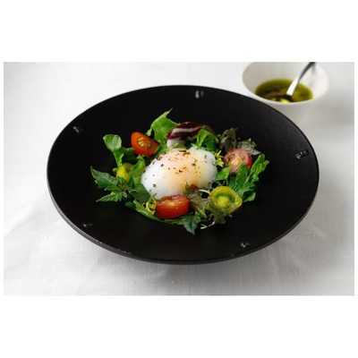 富士商 低温調理器Felio Sous vide cooking F20403 の通販