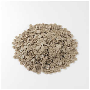 清原 プラスナップ13ミリ 1000組 BE SUN15-77G 清原 プラスナップ13ミリ 1000組 BE SUN15-77G