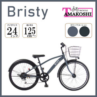 タマコシ 24型 子供用自転車 ブリスティ 246(外装6段変速) マット