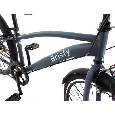 タマコシ 24型 子供用自転車 ブリスティ 246(外装6段変速) マット タマコシ 24型 子供用自転車 ブリスティ 246(外装6段変速) マット