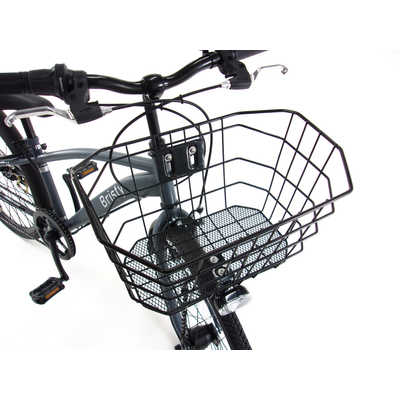 タマコシ 24型 子供用自転車 ブリスティ 246(外装6段変速) マット