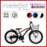 シナネン 22インチ自転車 マウンテンバイク
