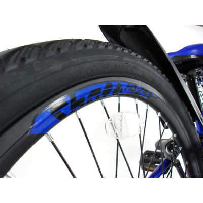 メダリスト 1 タマコシ 子供用自転車 22インチ メダリスト CTB 226 (ブルー