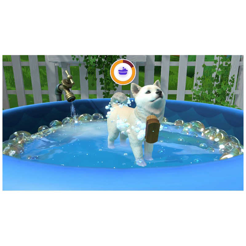 イマジニア イマジニア Switchゲームソフト LITTLE FRIENDS ～PUPPY ISLAND～  