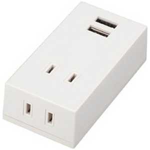 ヤザワ USB充電ポート付きOAタップ 2AC+2USB2.1A(ホワイト) Y02FS400WH2U ヤザワ USB充電ポート付きOAタップ 2AC+2USB2.1A(ホワイト) Y02FS400WH2U