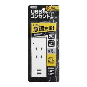 ヤザワ 雷ガｰド付2AC2USB2.1A 2.5m ホワイト Y02K4025WH2U