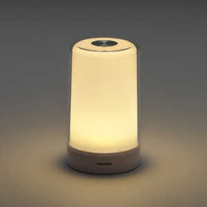 U 傫ȃ^b`Cg P3AJdr×3{ (ʔ) Type-CP[ut mdrn NCSWL88