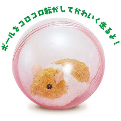 RUNRUN HAMSTER ランランハムスター 電動ぬいぐるみ z2zed1b イワヤ RUNRUN HAMSTER ランランハムスタｰ の通販 - カテゴリ