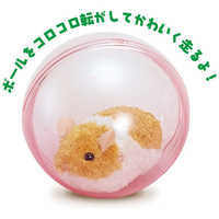 楽天市場】【販売終了】RUNRUN HAMSTER ( ランランハムスター