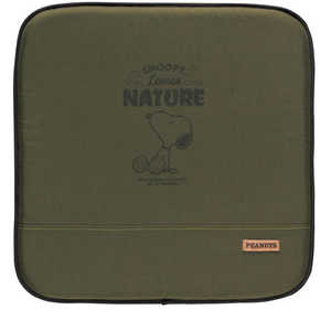 BONFORM å ̡ԡͥ㡼 45x45cm ꡼ 521402GN