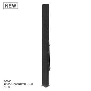 ���~�J �V 10C-11500��p�O�r�Z�b�g�p�P�[�X G80401