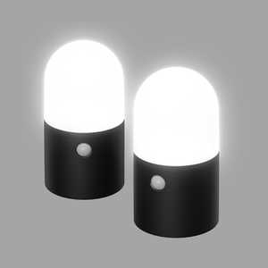アイリスオーヤマ　IRIS OHYAMA 乾電池式LEDガーデンセンサーライト 丸型 2個セット ZSLMN1MBKS2